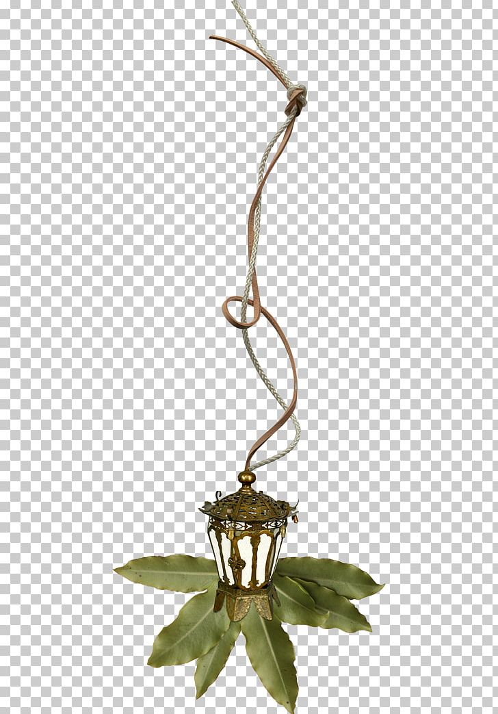 Light Lamp Rope PNG, Clipart, Branch, Download, Electric Light, Incandescent Light Bulb, Lamp Free PNG Download