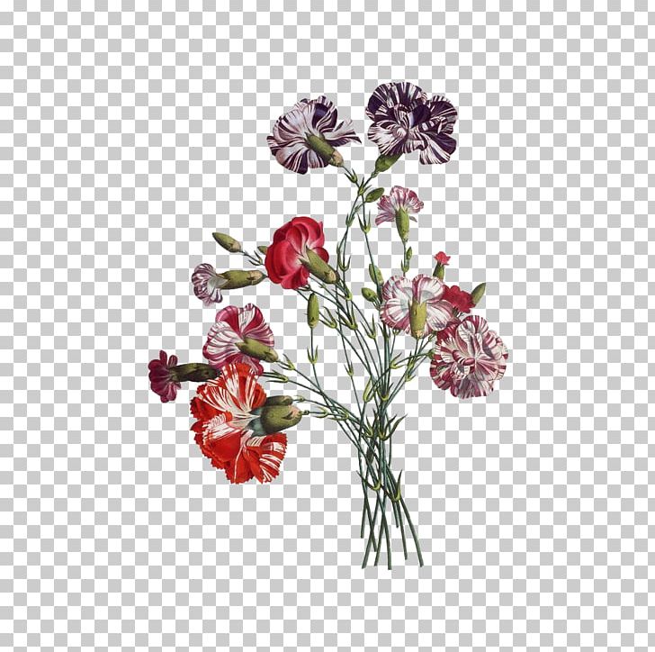 Paper Flower Bouquet Drawing Vintage Clothing PNG, Clipart, Artificial Flower, Blossom, Botanical Illustration, Botany, Bouquet Of Flowers Free PNG Download