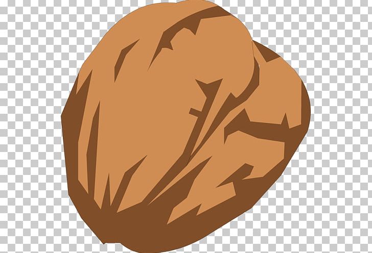 Walnut PNG, Clipart, Brown, Computer Icons, Digital Image, Download, Hand Free PNG Download