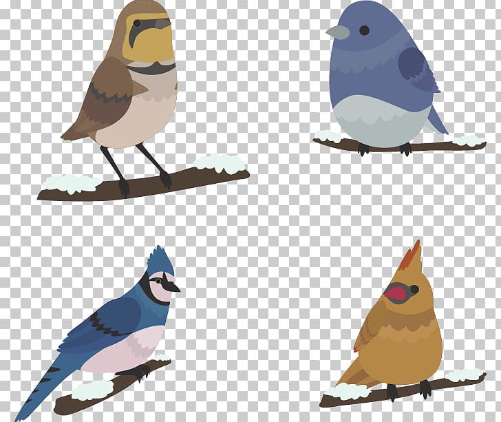 Bird Winter Euclidean PNG, Clipart, Animals, Beak, Bird, Bird Cage, Birds Free PNG Download