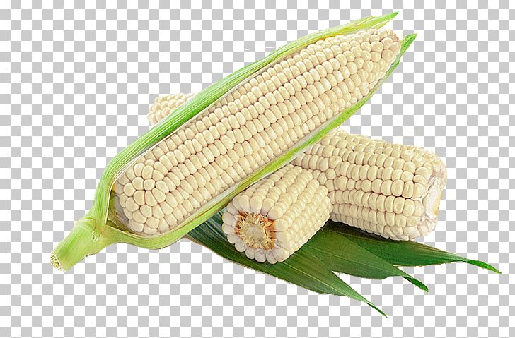 Corn On The Cob Maize Waxy Corn Corncob PNG, Clipart, Auglis, Black White, Coarse, Coarse Grains, Cob Free PNG Download