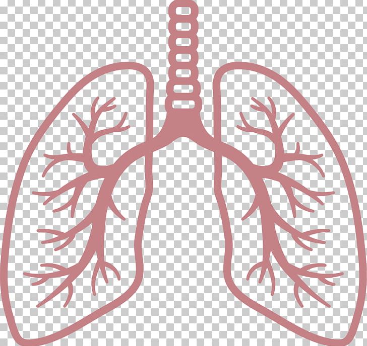 Lung Respiratory System Computer Icons Respiratory Disease Breathing PNG, Clipart, Breathing, Computer Icons, Hand, Human Body, Idiopathic Pulmonary Fibrosis Free PNG Download