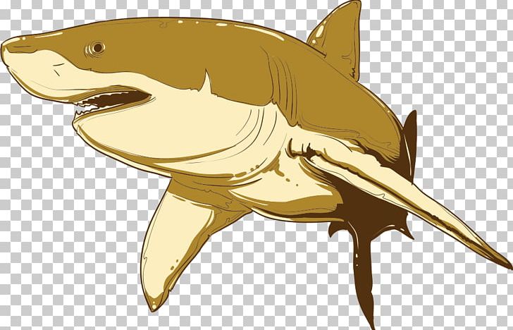 Shark Cartoon Euclidean Illustration PNG, Clipart, Animal, Animal Illustration, Animals, Art, Big Shark Free PNG Download