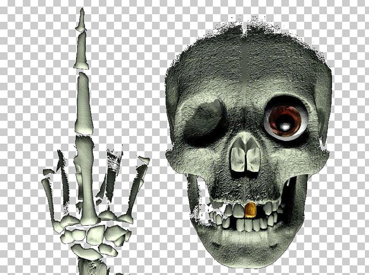 Skull Skeleton Photography Jaw PNG, Clipart, Albom, Bone, Fantasy, Gothic Art, Head Free PNG Download