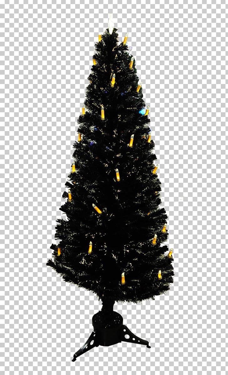 Christmas Tree Spruce Fir Christmas Ornament Christmas Day PNG, Clipart, Christmas Day, Christmas Decoration, Christmas Ornament, Christmas Tree, Conifer Free PNG Download