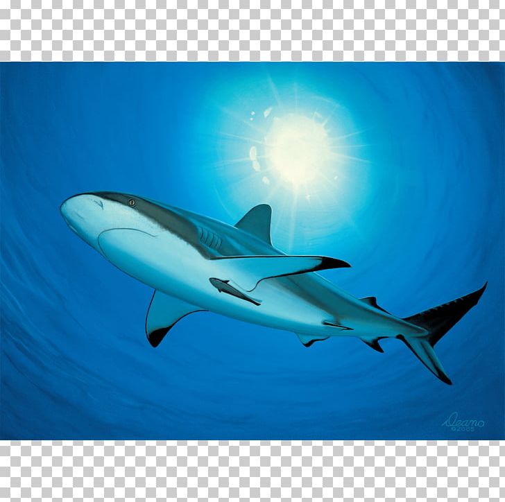 Hammerhead Shark Requiem Shark Canvas Print Printing PNG, Clipart, Animals, Art, Canvas, Canvas Print, Carcharhiniformes Free PNG Download