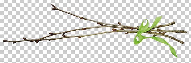 Tree Branch Leaf Willow PNG, Clipart, Bastone, Branch, Daytime, Flora, Flower Free PNG Download