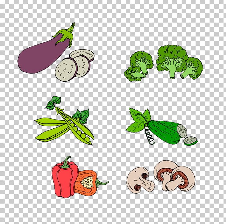 Vegetable Vecteur Drawing PNG, Clipart, Animal Figure, Artwork, Bell Pepper, Broccoli, Food Free PNG Download