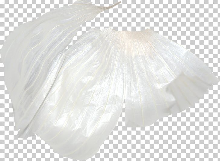 White Garlic PNG, Clipart, Beauty Skin, Beauty Skin Care, Black And White, Bridal Accessory, Bridal Clothing Free PNG Download