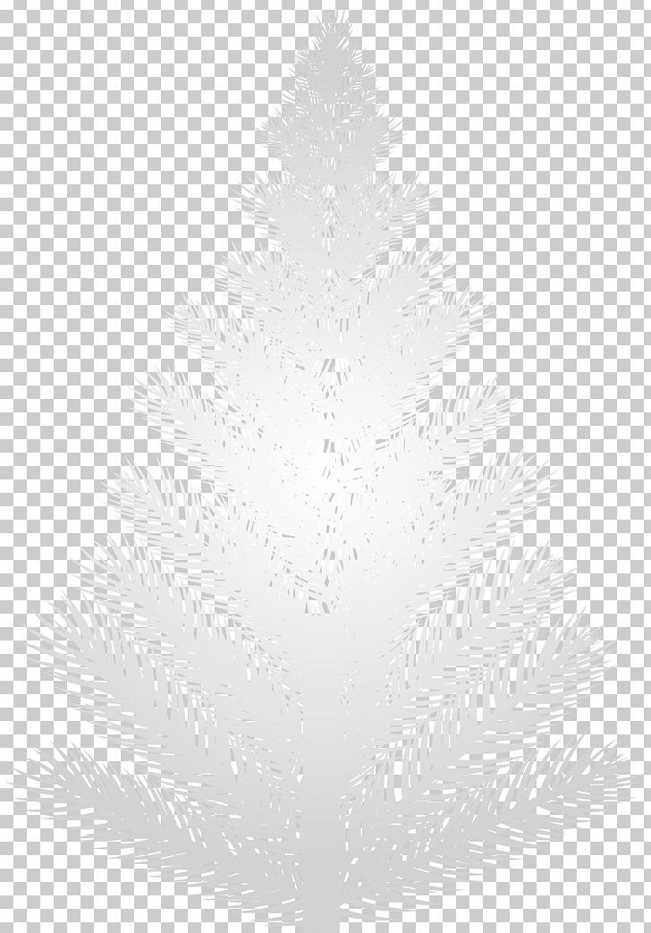 Black And White Pine Pattern PNG, Clipart, Black, Black And White, Branch, Clip Art, Clipart Free PNG Download