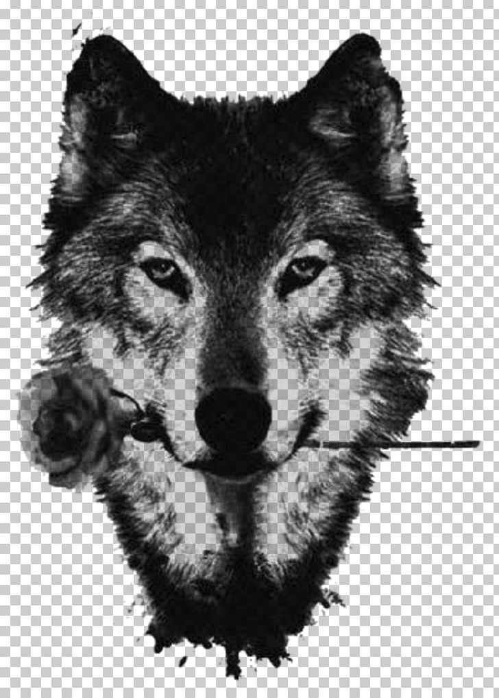 Black Wolf American Pit Bull Terrier Red Wolf Drawing The Wolf And The Fox PNG, Clipart, American Pit Bull Terrier, Animal, Arctic Wolf, Black And White, Black Wolf Free PNG Download