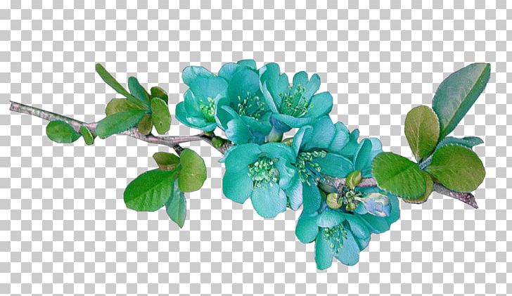 Flower .de Blog Blue .cc PNG, Clipart, Amino Apps, Aquarium Decor, Blog, Blue, Blue Rose Free PNG Download