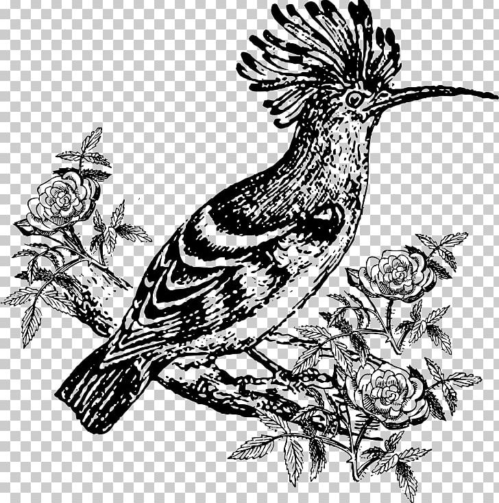 Bird Drawing Hoopoe PNG, Clipart, Animals, Art, Beak, Bird, Bird Of Prey Free PNG Download