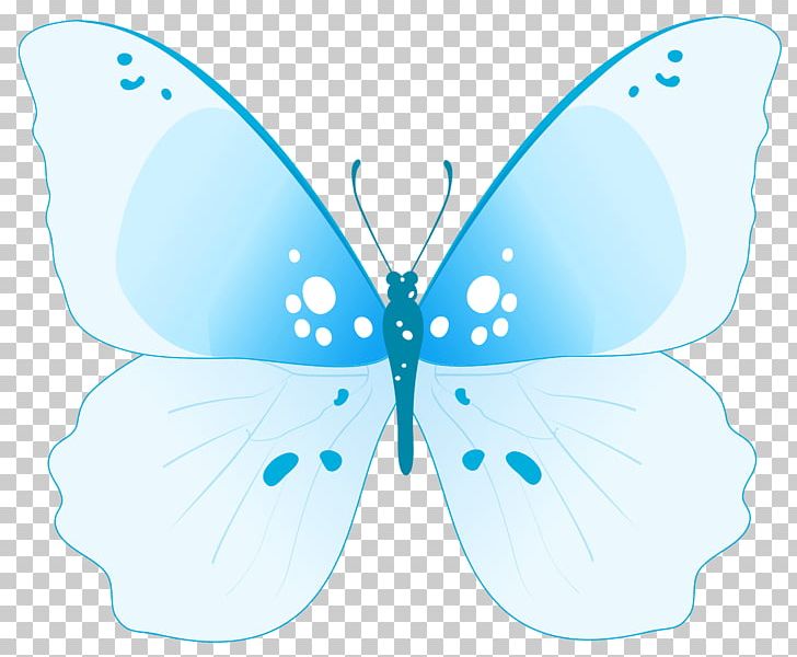 Butterfly Insect PNG, Clipart, Arthropod, Azure, Blue, Brush Footed Butterfly, Butterflies And Moths Free PNG Download