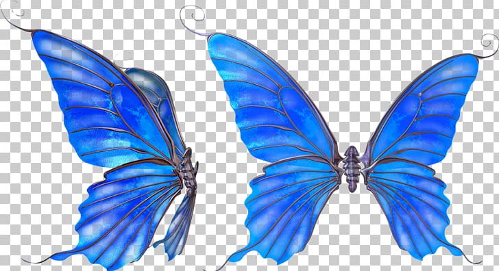 Butterfly Standard Test PNG, Clipart, Animale, Brush Footed Butterfly, Butterflies And Moths, Butterfly, Com Free PNG Download