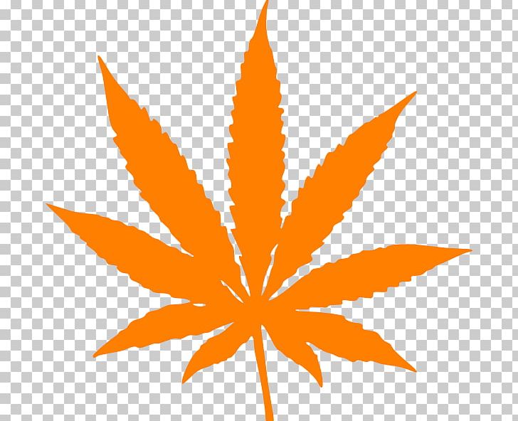 Cannabis Leaf Marijuana PNG, Clipart, 420 Day, Cannabis, Cannabis Smoking, Flowering Plant, Hash Oil Free PNG Download