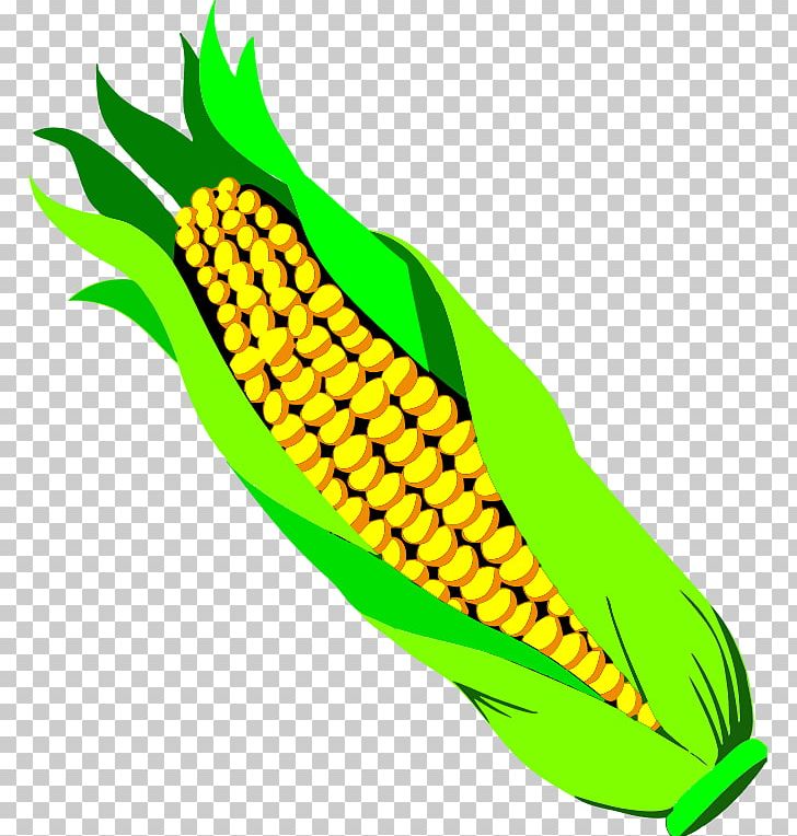 Corn On The Cob Popcorn Maize Candy Corn PNG, Clipart, Artwork, Candy Corn, Commodity, Corncob, Corn Flakes Free PNG Download