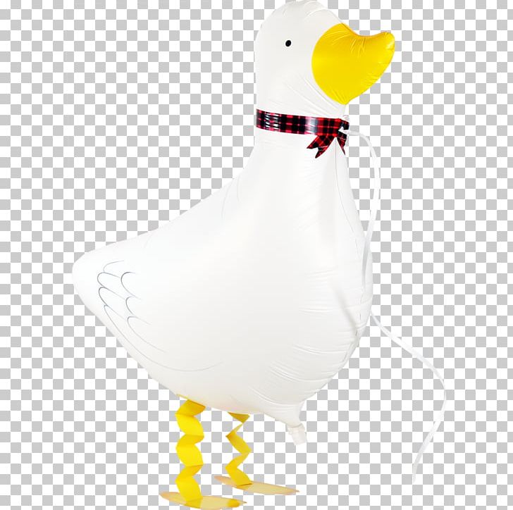 Duck Water Bird Chicken Goose PNG, Clipart, Anatidae, Animal, Animals, Balloon, Beak Free PNG Download