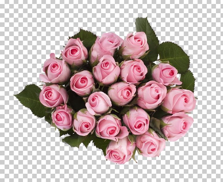 Garden Roses Cabbage Rose Rema 1000 Skårer Cut Flowers PNG, Clipart, Artificial Flower, Cut Flowers, Damask Rose, Floral Design, Floribunda Free PNG Download