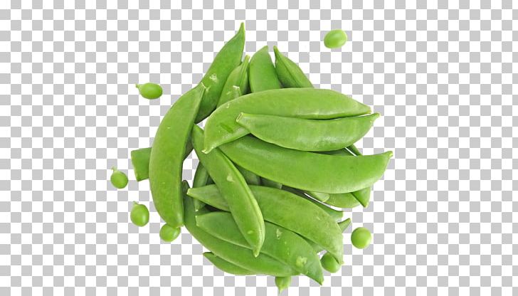 Snap Pea Edamame Snow Pea Bean Sugar PNG, Clipart, Bean, Brain, Celery, Crunchy, Cuisine Free PNG Download