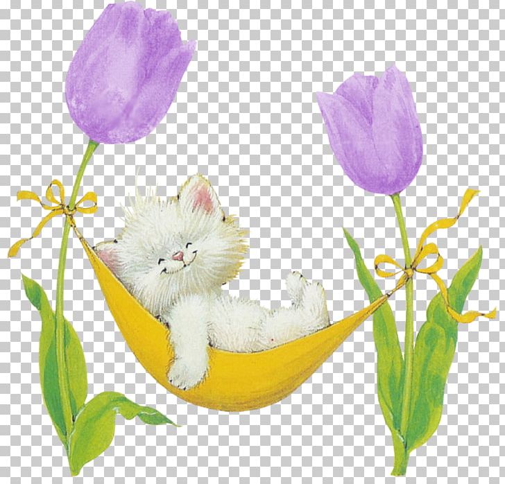 Cat Afrikaans Whiskers Kitten Pin PNG, Clipart, Afrikaans, Cat, Cat Lady, Cat Like Mammal, Floral Design Free PNG Download
