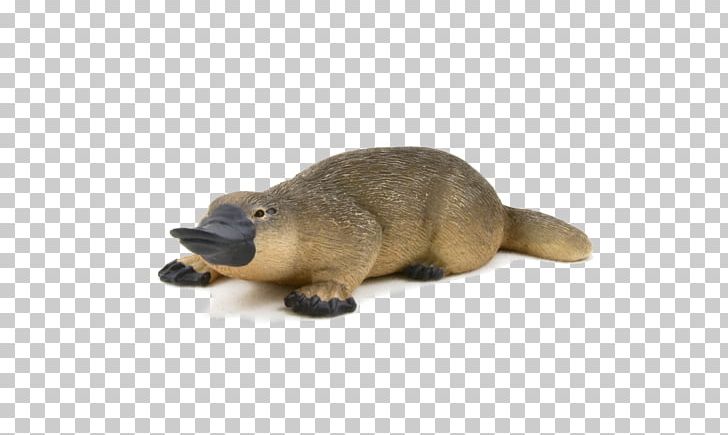 Platypus Indian Runner Duck Beaver Mammal PNG, Clipart, Animal, Animal Figure, Animal Figurine, Animals, Beak Free PNG Download