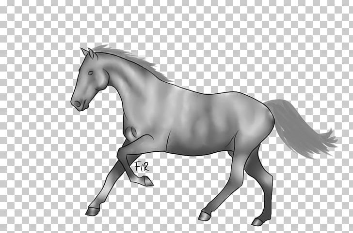 Mane Mustang Stallion Foal Pony PNG, Clipart, Black And White, Bridle, Canter And Gallop, Colt, Horse Free PNG Download