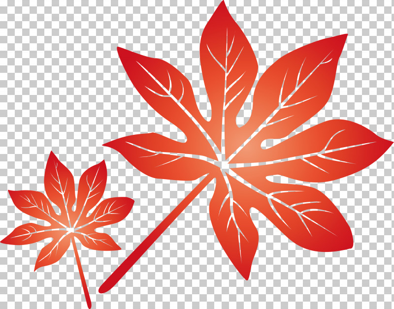 Leaf PNG, Clipart, Biology, Flower, Geometry, Leaf, Line Free PNG Download