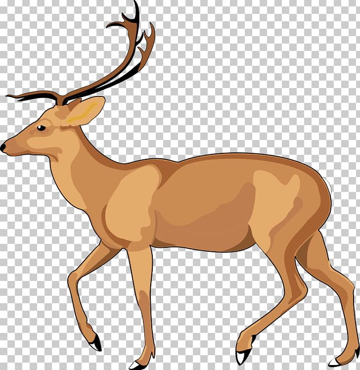 Antelope Gazelle Png Clipart Animals Antler Cartoon Cartoon Animals Christmas Deer Free Png Download