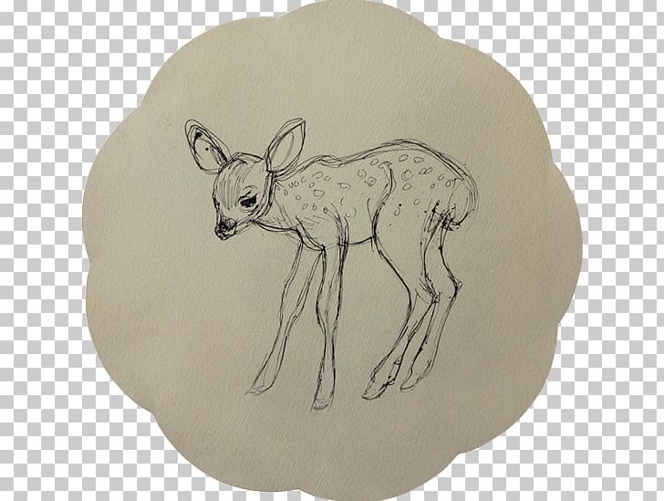 Canidae Mammal Cattle Hare Macropods PNG, Clipart, Canidae, Carnivoran, Cattle, Cattle Like Mammal, Deer Free PNG Download
