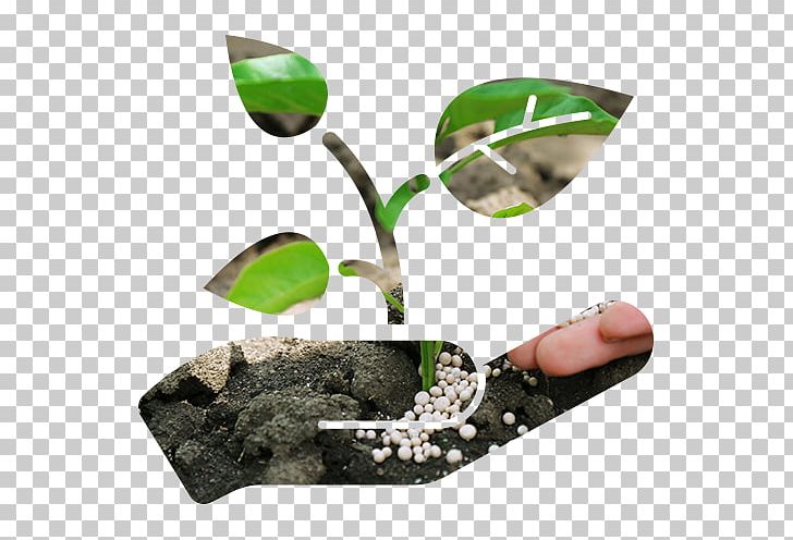 Gardening Greenhouse Nursery Pruning Shears PNG, Clipart, Axe, Computer Icons, Garden, Gardening, Grass Free PNG Download