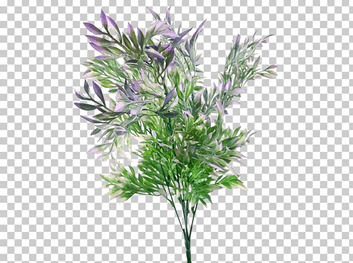 Plant Stem Artificial Flower Shrub Branch PNG, Clipart, Artificial Flower, Branch, Fern, Flower, Flower Bouquet Free PNG Download