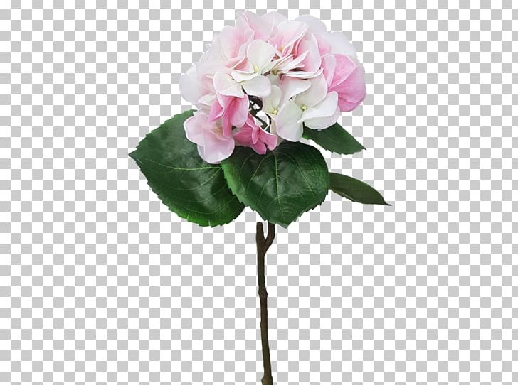 Cut Flowers Plant Hydrangea Centifolia Roses PNG, Clipart, Annual Plant, Artificial Flower, Centifolia Roses, Cornales, Cut Flowers Free PNG Download