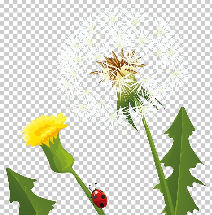 Dandelion Graphics Euclidean Illustration PNG, Clipart, Art, Cmyk Color Model, Daisy Family, Dandelion, Flora Free PNG Download