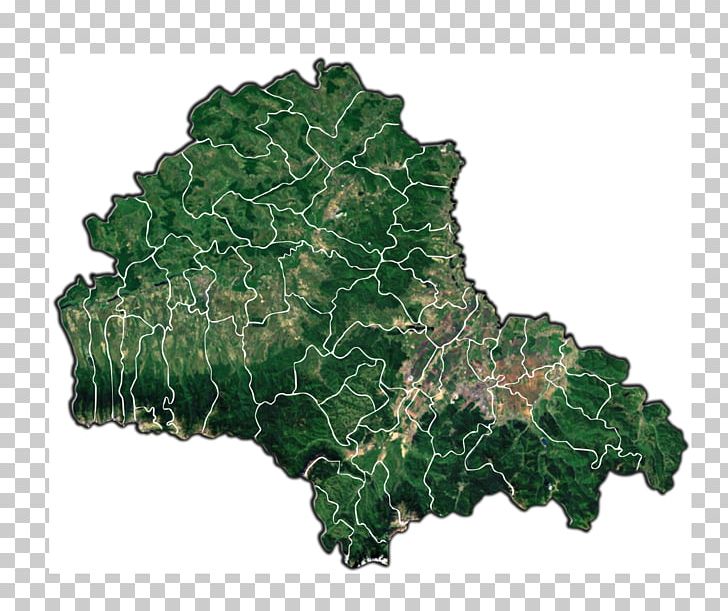Brașov Făgăraș Victoria Rupea Viștea PNG, Clipart, Brasov, City, Collard Greens, Leaf, Leaf Vegetable Free PNG Download