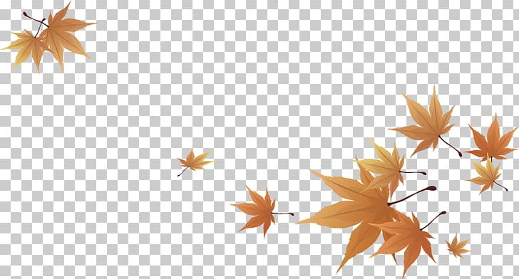 Maple Leaf PNG, Clipart, Autumn, Computer Wallpaper, Deciduous, Design, Desktop Wallpaper Free PNG Download