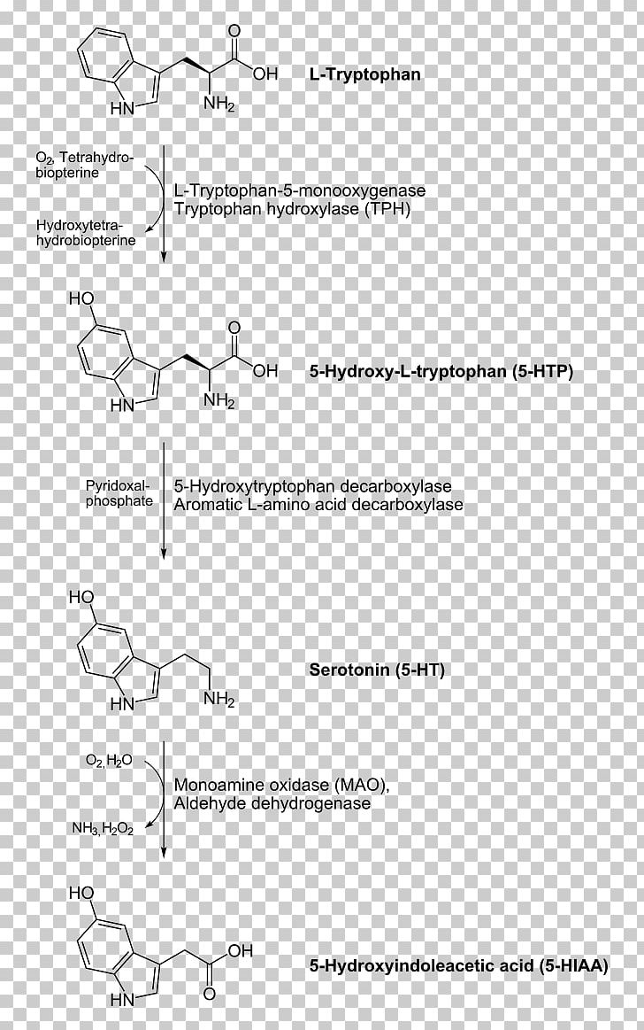 Aromatic L-amino Acid Decarboxylase Inhibitor Levodopa Decarboxylation Carboxy-lyases PNG, Clipart, 5hydroxytryptophan, Amino Acid, Angle, Area, Aromatic Amino Acid Free PNG Download