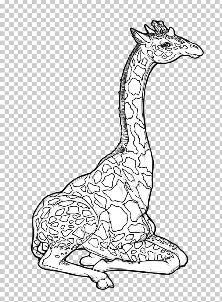 Giraffe Animal Wildlife Fauna Mammal PNG, Clipart, Animal, Animal Figure, Animals, Black And White, Fauna Free PNG Download