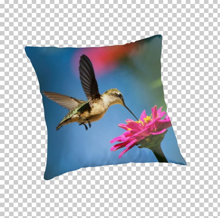 Hummingbird Fine Art Acrylic Paint PNG, Clipart, Acrylic Paint, Animals, Art, Artist, Beak Free PNG Download