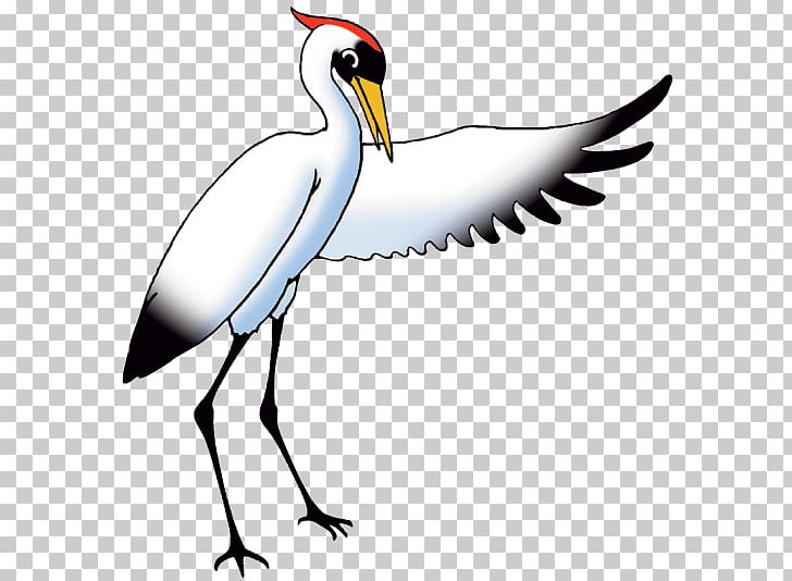 Crane Publishing Mathematics Bird Stork PNG, Clipart, Addition, Artwork, Beak, Bird, Ciconiiformes Free PNG Download