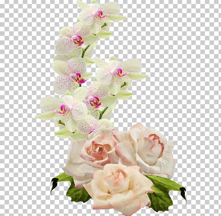 Cut Flowers Moth Orchids PNG, Clipart, Artificial Flower, Blossom, Carnation, Floral Design, Floristry Free PNG Download