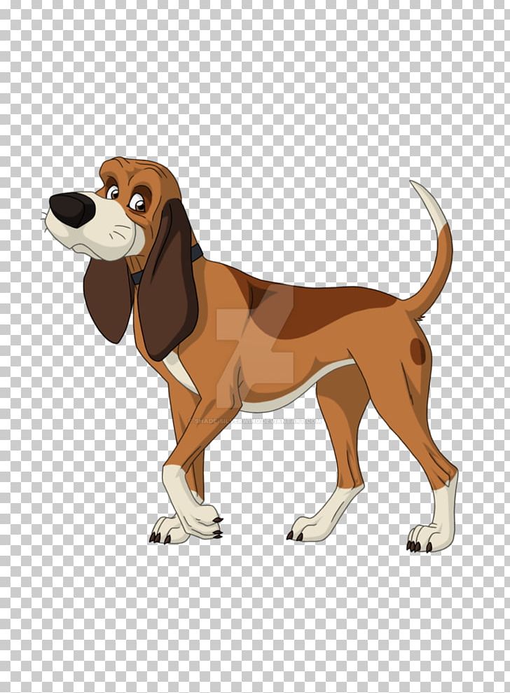 English Foxhound Harrier Treeing Walker Coonhound Beagle Black And Tan Coonhound PNG, Clipart, Beagle, Black And Tan Coonhound, Carnivoran, Coonhound, Dog Free PNG Download