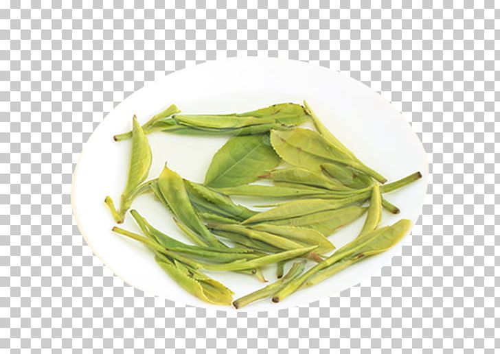 Huangshan City Xinyang Maojian Tea Green Tea PNG, Clipart, Alpine, Alpine Maojian Tea, Anhui, Avoid, Back Free PNG Download