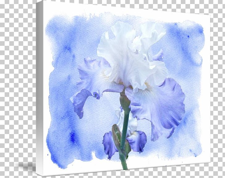 Watercolor Painting PNG, Clipart, Blue, Flower, Flowering Plant, Iris, Iris Family Free PNG Download
