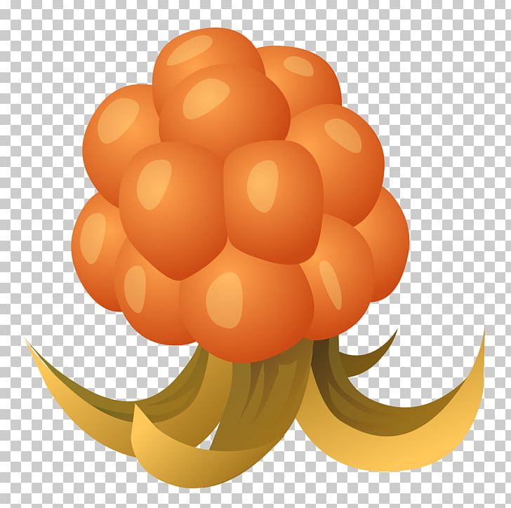 Cloudberry Drawing PNG, Clipart, Berry, Circle, Clip Art, Cloudberry, Computer Wallpaper Free PNG Download