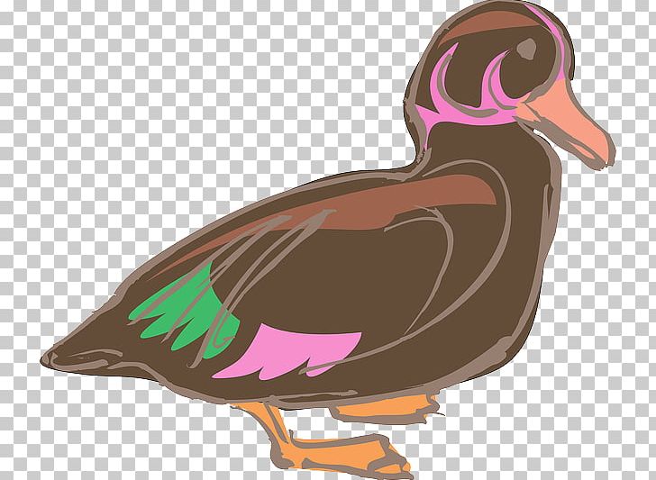 Domestic Duck Bird Chicken Poultry PNG, Clipart, Anatidae, Animal, Animals, Beak, Bird Free PNG Download