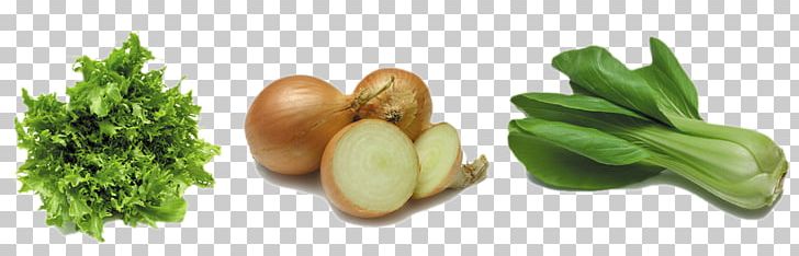 Red Onion Tomato Bell Pepper PNG, Clipart, Aquatica, Background Green, Bell Pepper, Cabbage, Chinese Free PNG Download