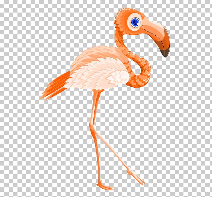 Transparency Graphics Portable Network Graphics PNG, Clipart, Animal Figure, Animals, Beak, Bird, Bird Vector Free PNG Download