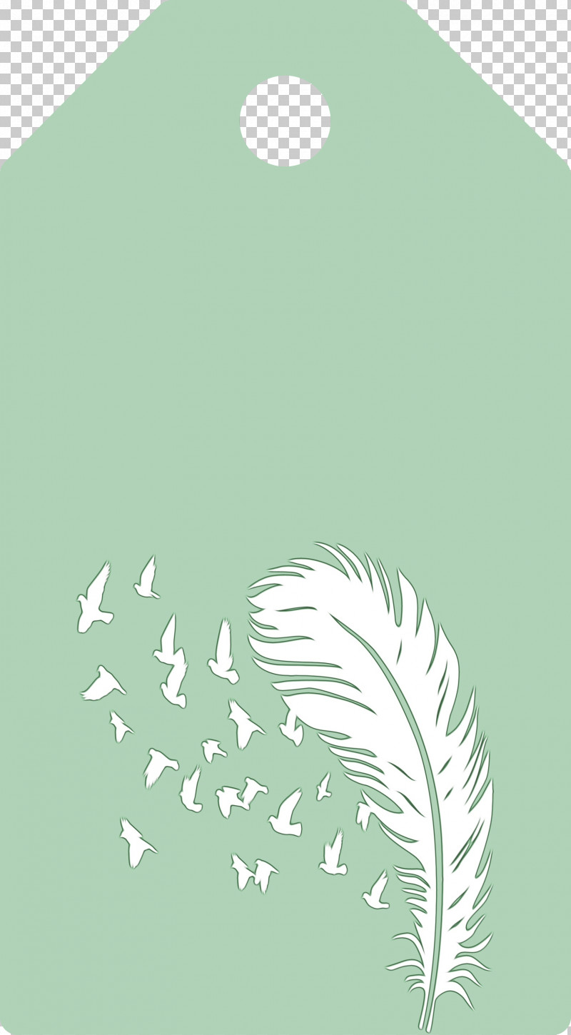 Feather PNG, Clipart, Biology, Feather, Feather Birds Tag, Green, Leaf Free PNG Download
