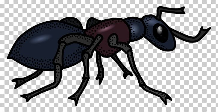 Ant Line Art Drawing PNG, Clipart, Animal Figure, Ant, Ants, Arthropod, Black And White Free PNG Download
